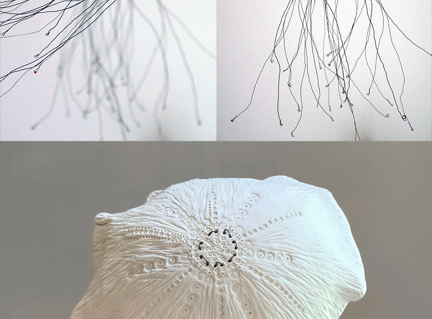 Collection Méduses - Au creux des mains - Emmanuelle Cadoret, céramiste